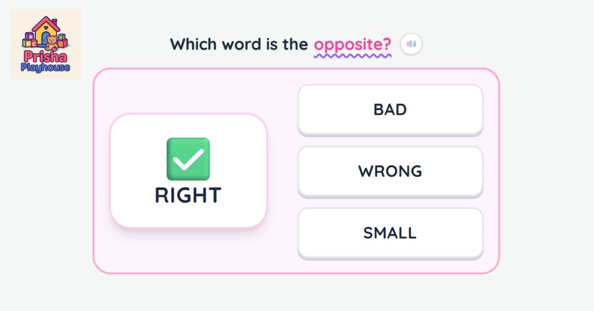 Antonym Match (Opposites)