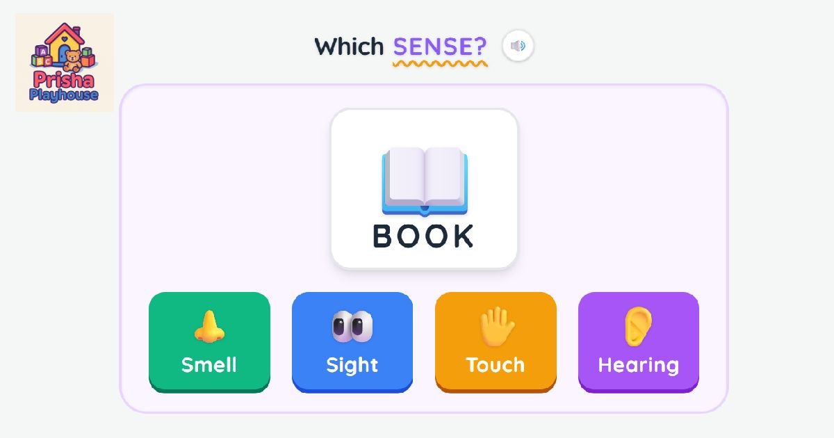 Five Senses Explorer